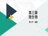 人教版（2024版）七年级生物上册课件 2.3.3  真菌