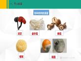 人教版（2024版）七年级生物上册课件 2.3.3  真菌