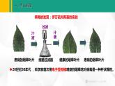 人教版（2024版）七年级生物上册课件 2.3.4  病毒