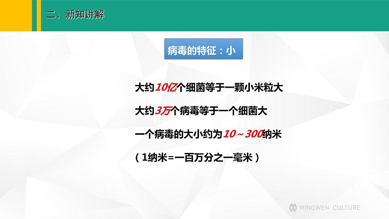 人教版（2024版）七年级生物上册课件 2.3.4  病毒03