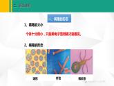 人教版（2024版）七年级生物上册课件 2.3.4  病毒