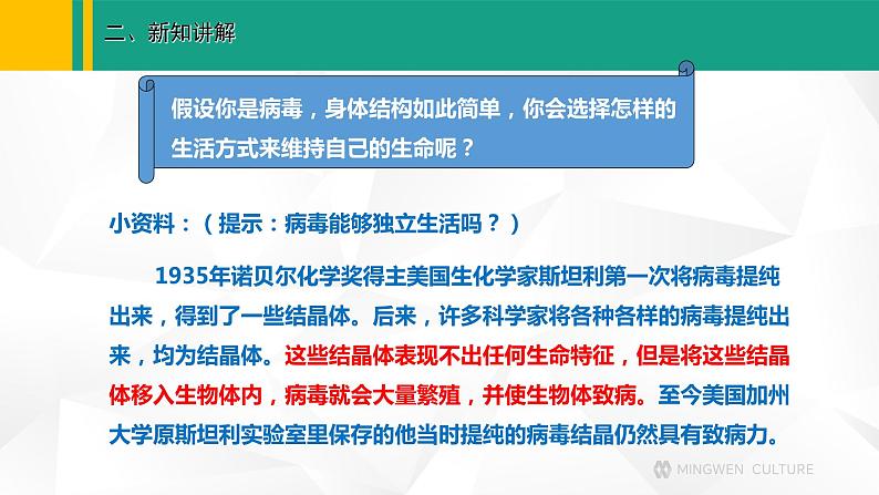 人教版（2024版）七年级生物上册课件 2.3.4  病毒07