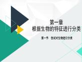 人教版（2024版）七年级生物上册课件 2.4.1   尝试对生物进行分类