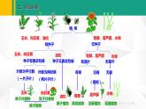 人教版（2024版）七年级生物上册课件 2.4.1   尝试对生物进行分类