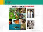 人教版（2024版）七年级生物上册课件 2.4.1   尝试对生物进行分类