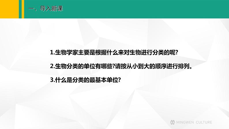 人教版（2024版）七年级生物上册课件 2.4.2   从种到界02