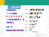 人教版（2024版）七年级生物上册课件 2.4.2   从种到界