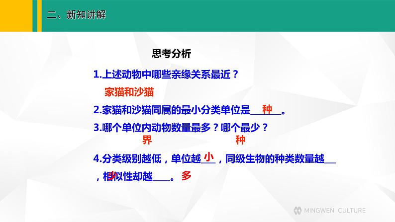 人教版（2024版）七年级生物上册课件 2.4.2   从种到界07