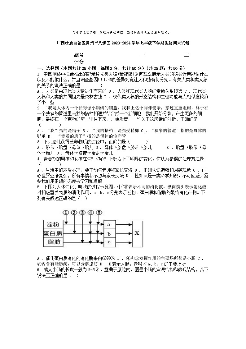 [生物][期末]广西壮族自治区贺州市八步区2023-2024学年七年级下学期生物期末试卷第1页