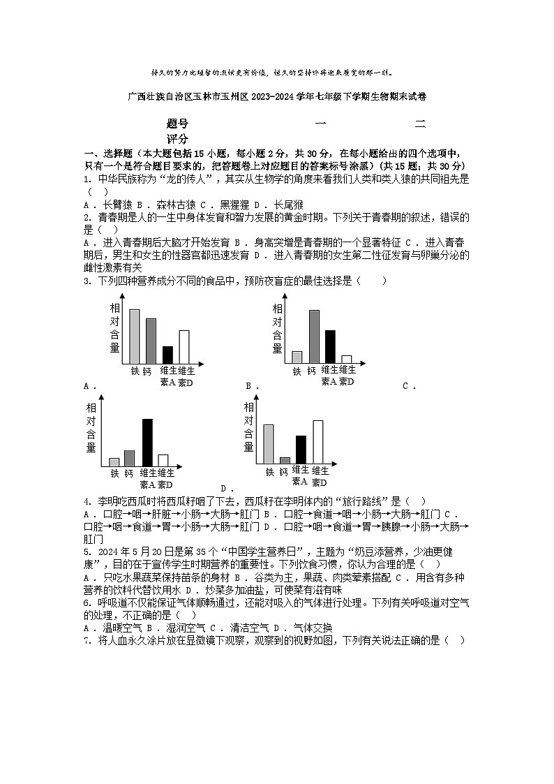 [生物][期末]广西壮族自治区玉林市玉州区2023-2024学年七年级下学期生物期末试卷01