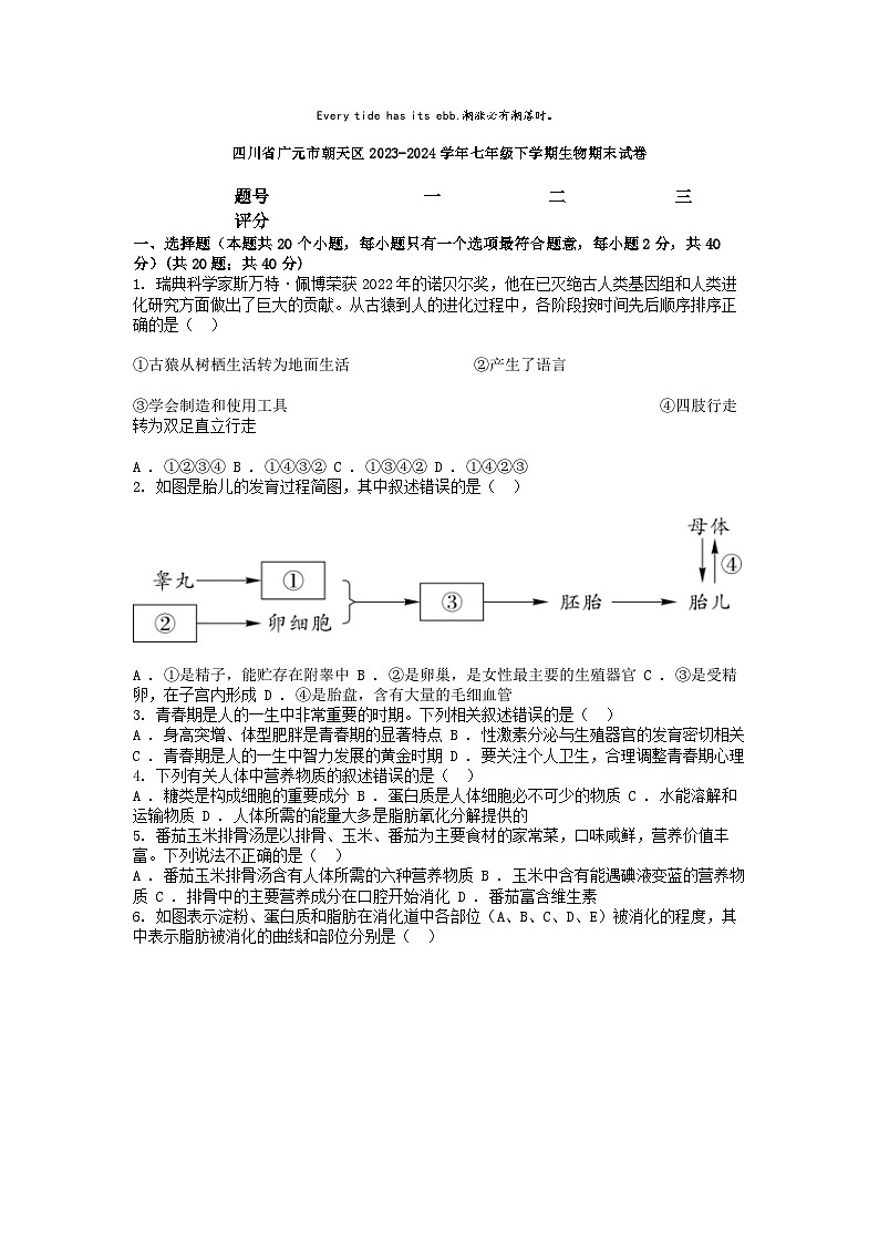 [生物][期末]四川省广元市朝天区2023-2024学年七年级下学期生物期末试卷第1页