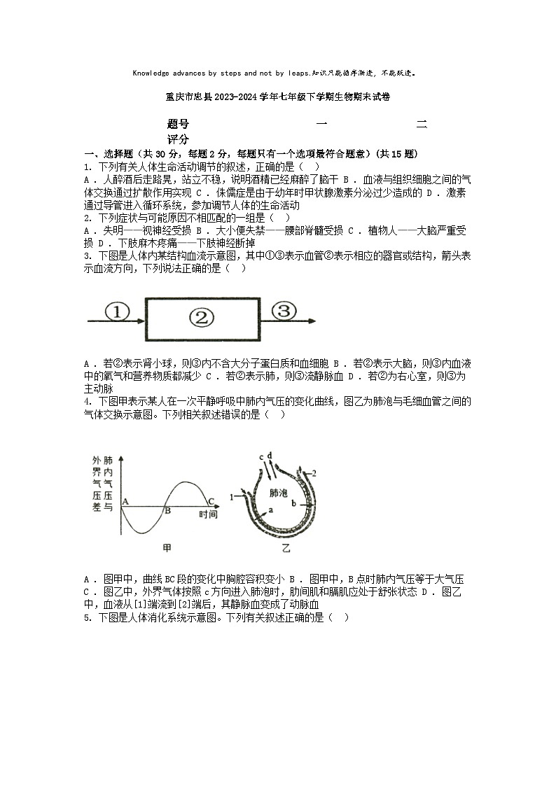 [生物][期末]重庆市忠县2023-2024学年七年级下学期生物期末试卷01