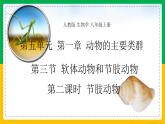 人教版八年级生物上册课件 5.1.3 软体动物和节肢动物 第2课时