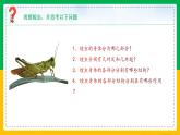人教版八年级生物上册课件 5.1.3 软体动物和节肢动物 第2课时