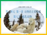 人教版八年级生物上册课件 5.1.7 哺乳动物