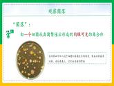 人教版八年级生物上册课件 5.4.1 细菌和真菌的分布