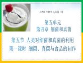 人教版八年级生物上册课件 5.4.5 人类对细菌和真菌的利用 第1课时