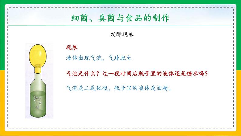 人教版八年级生物上册课件 5.4.5 人类对细菌和真菌的利用 第1课时第6页