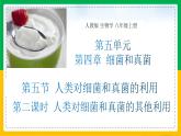 人教版八年级生物上册课件 5.4.5 人类对细菌和真菌的利用 第2课时
