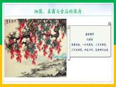 人教版八年级生物上册课件 5.4.5 人类对细菌和真菌的利用 第2课时
