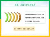 人教版八年级生物上册课件 5.4.5 人类对细菌和真菌的利用 第2课时