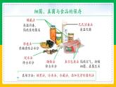 人教版八年级生物上册课件 5.4.5 人类对细菌和真菌的利用 第2课时
