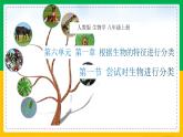 人教版八年级生物上册课件 6.1.1 尝试对生物进行分类