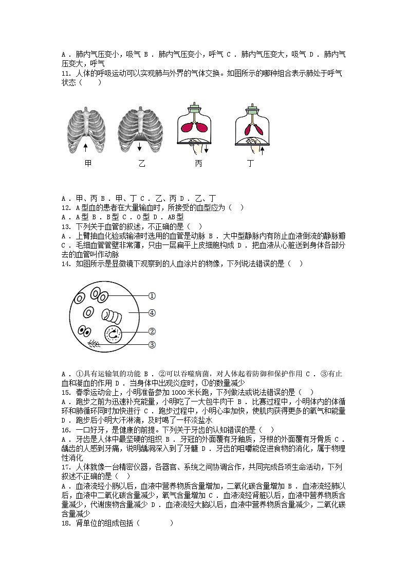 [生物][期末]湖南省益阳市大通湖管理区两校2023-2024学年七年级下学期生物期末联考试卷第2页
