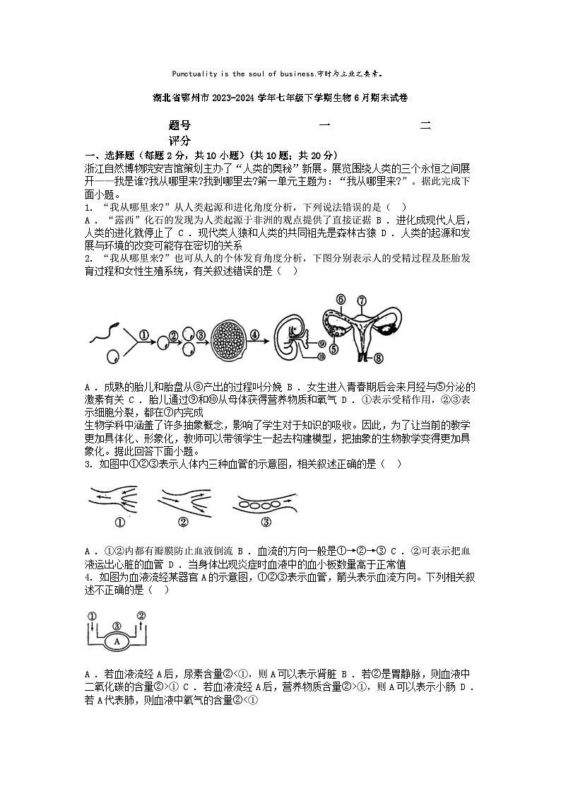 [生物][期末]湖北省鄂州市2023-2024学年七年级下学期生物6月期末试卷第1页