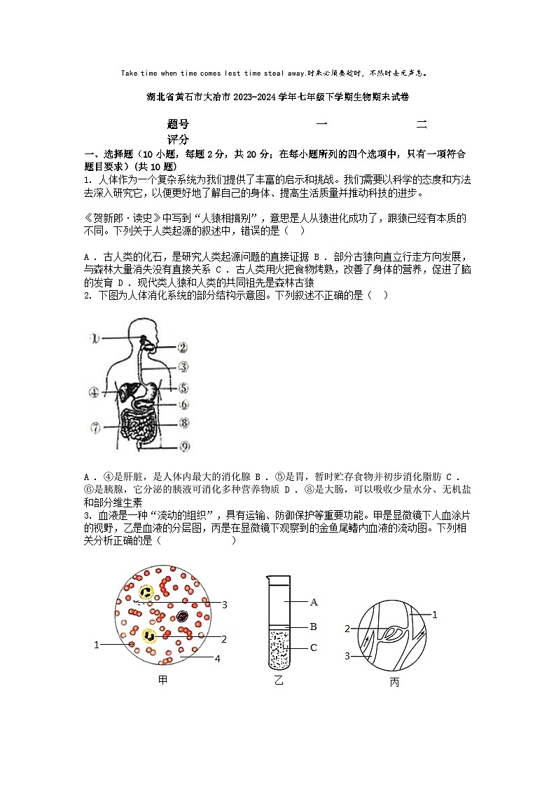 [生物][期末]湖北省黄石市大冶市2023-2024学年七年级下学期生物期末试卷第1页