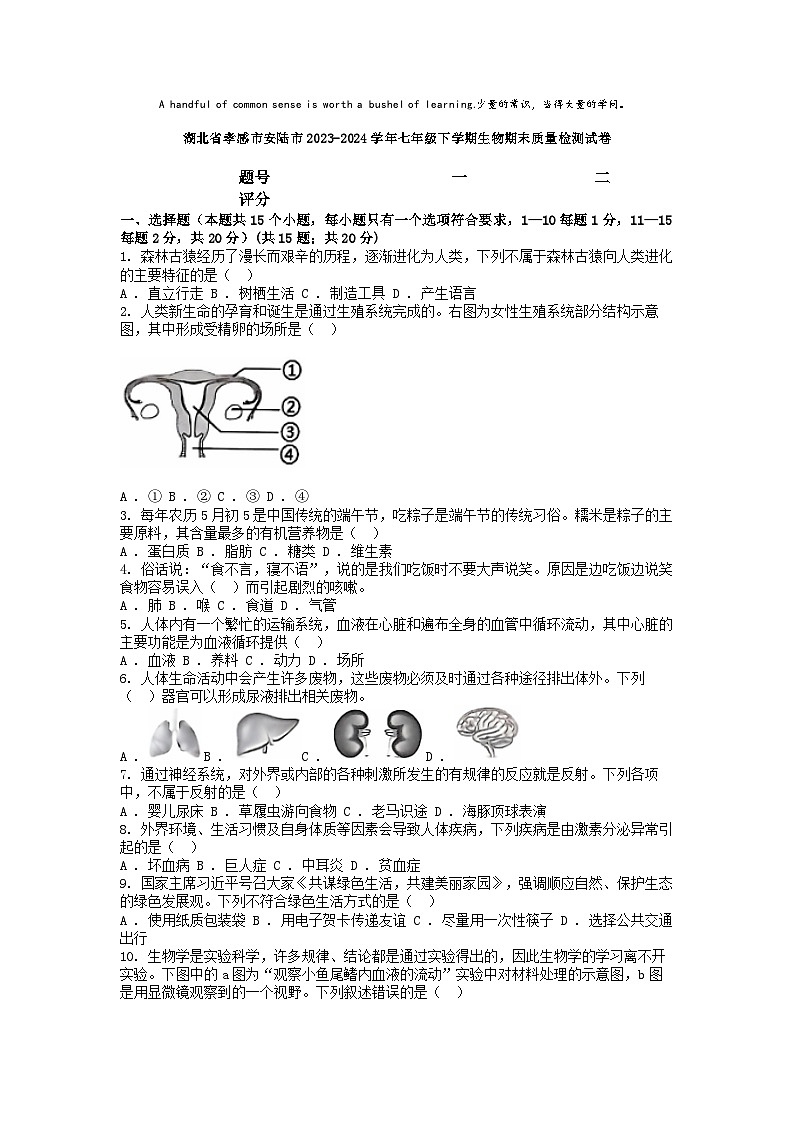 [生物][期末]湖北省孝感市安陆市2023-2024学年七年级下学期生物期末质量检测试卷第1页