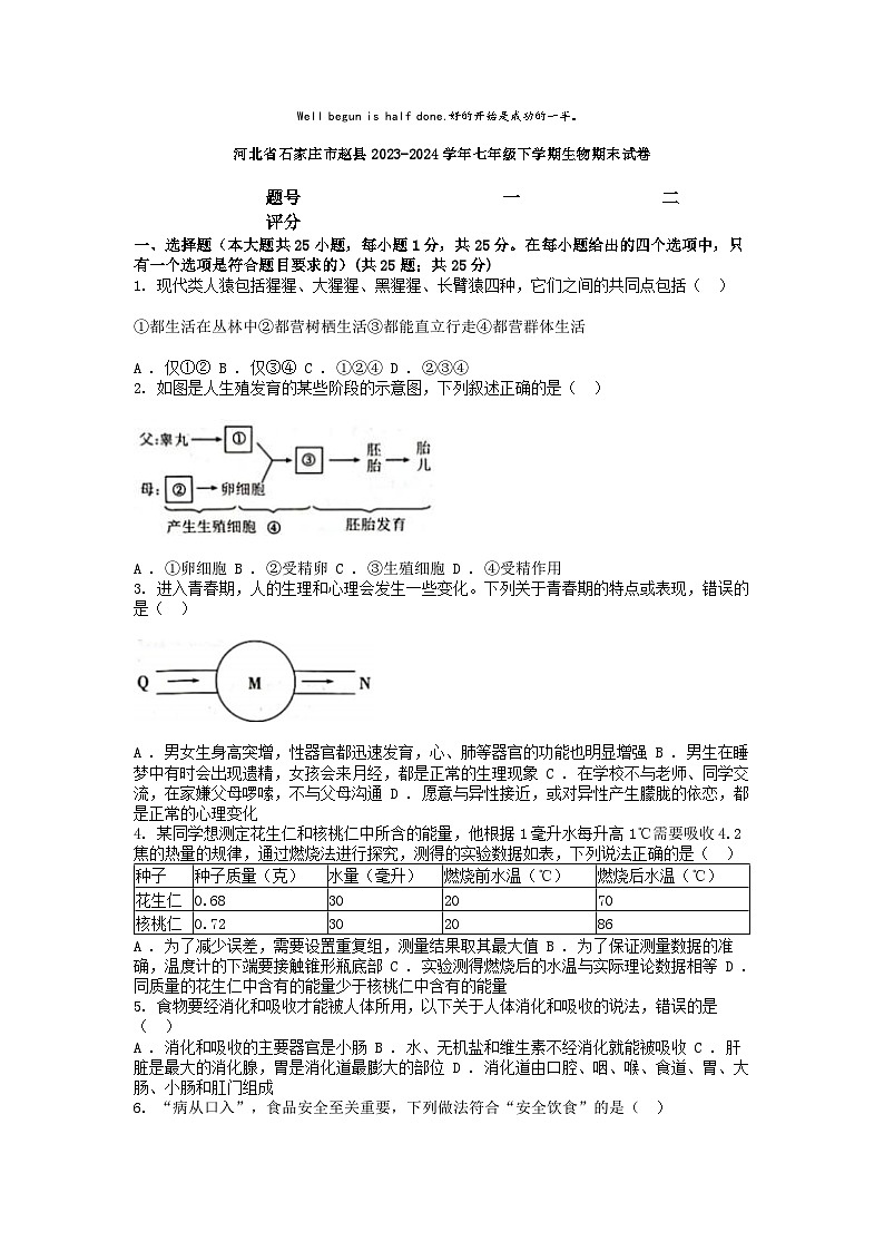 [生物][期末]河北省石家庄市赵县2023-2024学年七年级下学期生物期末试卷第1页
