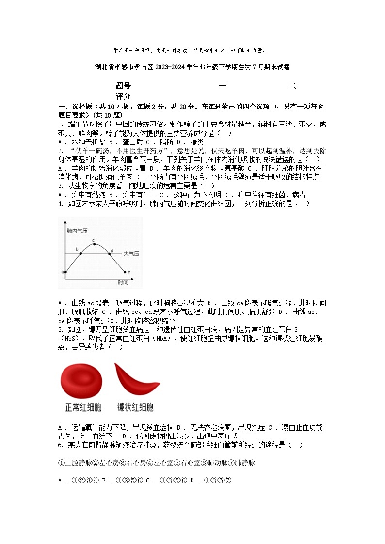 [生物][期末]湖北省孝感市孝南区2023-2024学年七年级下学期生物7月期末试卷第1页