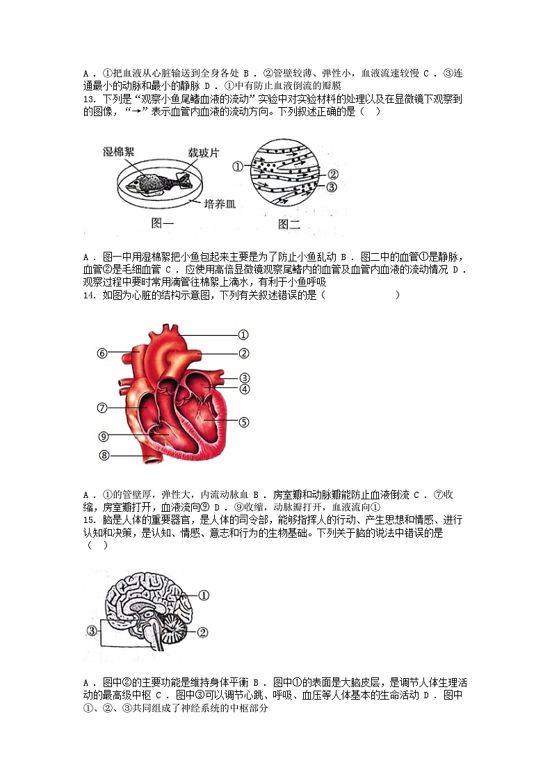 [生物][期末]河北省沧州市2023-2024学年七年级下学期生物期末试卷03