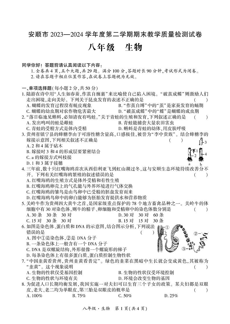 贵州省安顺市2023-2024学年八年级下学期期末考试生物试卷01