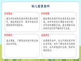 人教版生物七年级上册 1.1.1  观察周边环境中的生物 同步课件