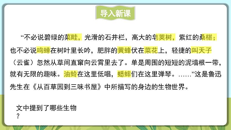 人教版生物七年级上册 1.1.1  观察周边环境中的生物 同步课件04