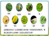 人教版生物七年级上册 1.1.1  观察周边环境中的生物 同步课件