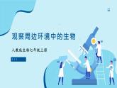 人教版生物七年级上册 1.1.1 观察周边环境中的生物 同步课件