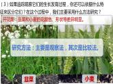 人教版生物七年级上册 1.1.1 观察周边环境中的生物 同步课件