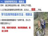 人教版生物七年级上册 1.1.1 观察周边环境中的生物 同步课件