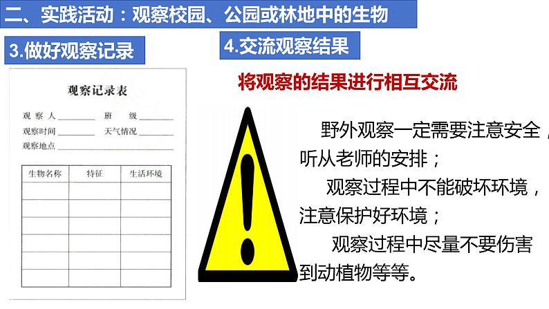 人教版生物七年级上册 1.1.1 观察周边环境中的生物 同步课件07