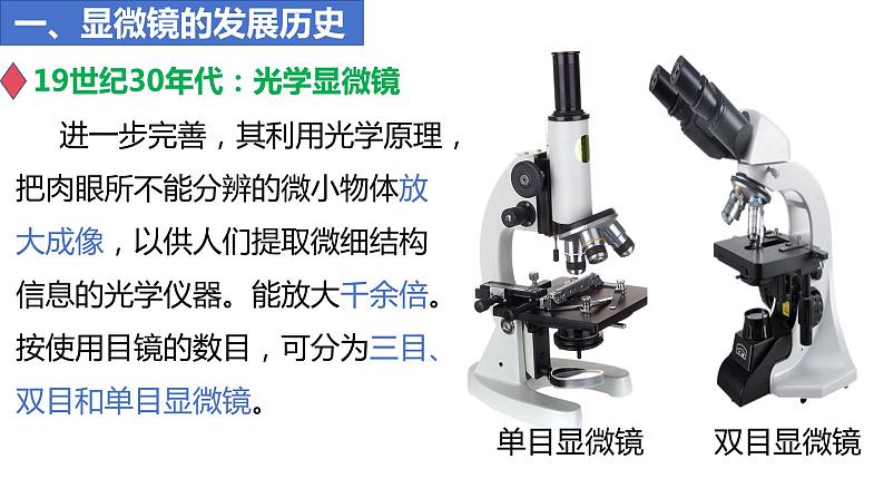 人教版生物七年级上册 1.2.1 学习使用显微镜 同步课件05