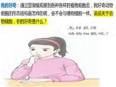 人教版生物七年级上册 1.2.3 动物细胞 同步课件