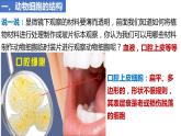 人教版生物七年级上册 1.2.3 动物细胞 同步课件