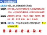 人教版生物七年级上册 1.2.3 动物细胞 同步课件