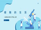 人教版生物七年级上册 1.2.4 细胞的生活 同步课件
