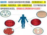 人教版生物七年级上册 1.2.4 细胞的生活 同步课件