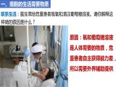 人教版生物七年级上册 1.2.4 细胞的生活 同步课件