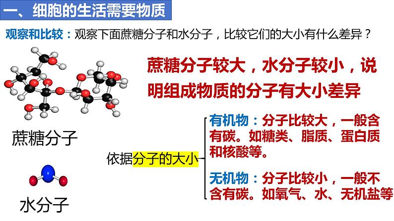 人教版生物七年级上册 1.2.4 细胞的生活 同步课件06